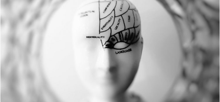 The Problem With the Localization of Brain Function Theory The Problem With the Localization of Brain Function Theory