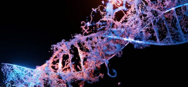 Dr. Bruce Lipton: What Epigenetics Reveals About Cells