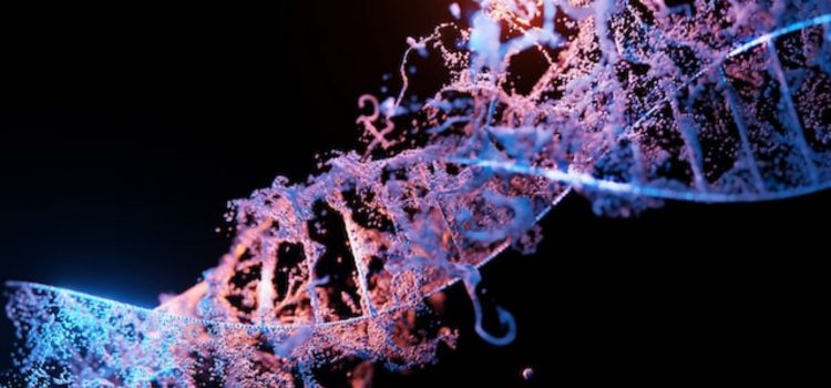 Dr. Bruce Lipton: What Epigenetics Reveals About Cells Dr. Bruce Lipton: What Epigenetics Reveals About Cells