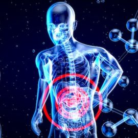 The 3 Most Harmful Effects of Aging on Body Systems