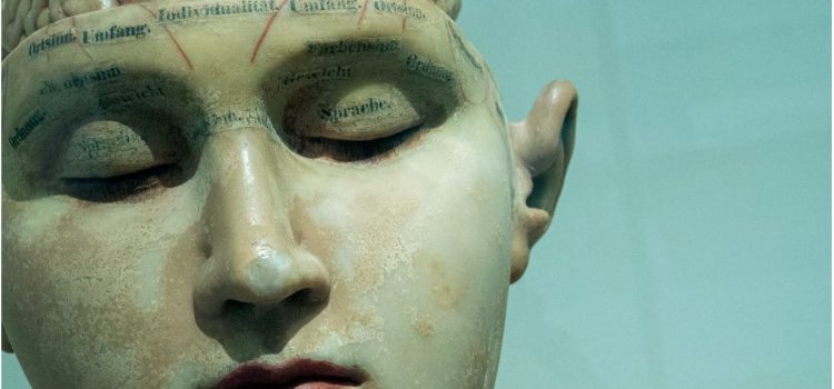 How the Expectation Effect Impacts the Brain & Body Connection How the Expectation Effect Impacts the Brain & Body Connection