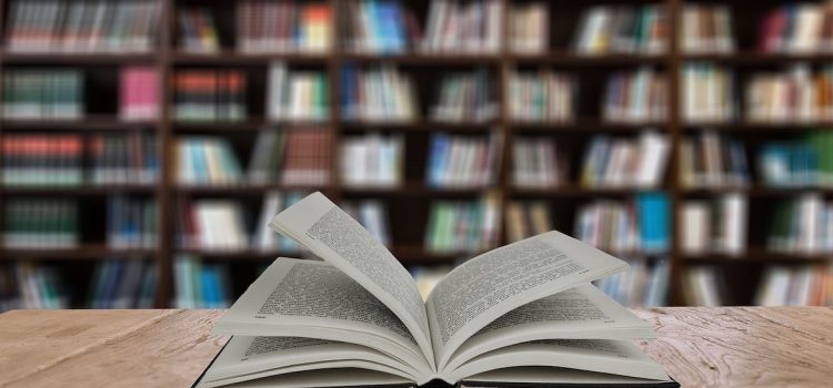 Superfans by Patt Flynn: Book Overview & Takeaways Superfans by Patt Flynn: Book Overview & Takeaways
