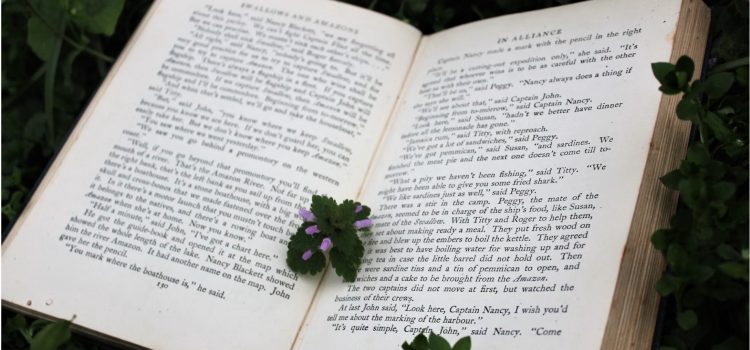 The Sun and Her Flowers: Chapter Themes & Meanings The Sun and Her Flowers: Chapter Themes & Meanings