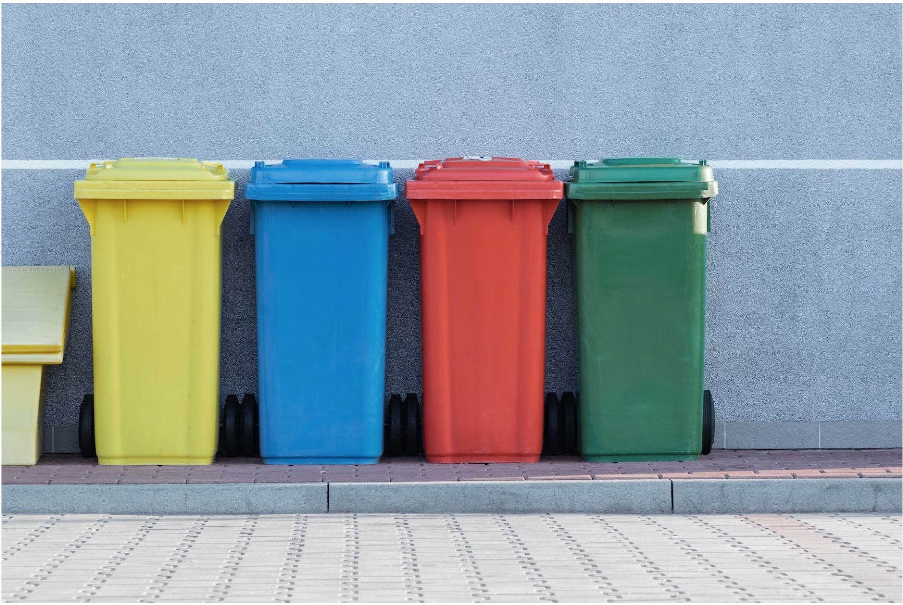 Why Recycling Is a Lie in 2022 Wasted Efforts Shortform Books