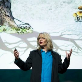 Dr. Suzanne Simard’s Battle as a Female Ecologist