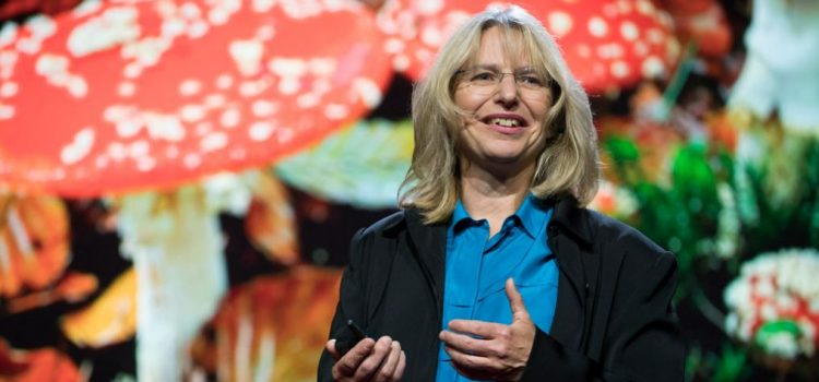 Suzanne Simard: Biography and Career Suzanne Simard: Biography and Career