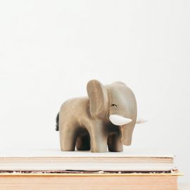 The Elephant in the Brain: Hidden Motives in Everyday Life