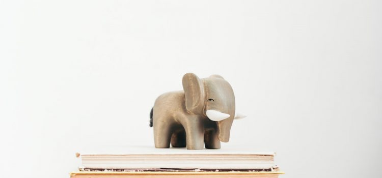 The Elephant in the Brain: Hidden Motives in Everyday Life The Elephant in the Brain: Hidden Motives in Everyday Life