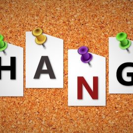 Change vs. Transition: What’s the Difference?