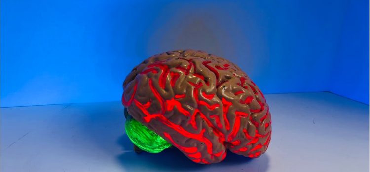 ADHD and the Brain: The Neuroscience of the Disorder