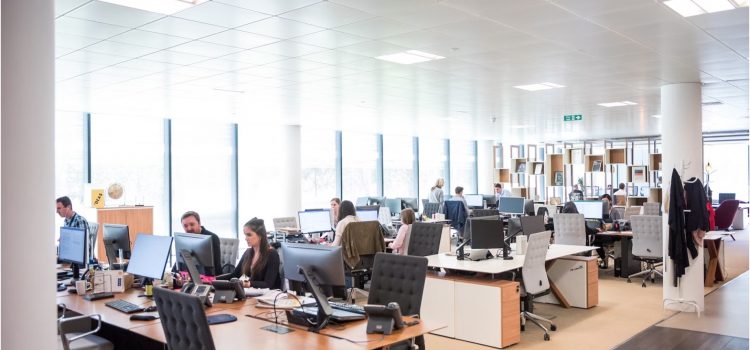 Going Back to the Office: 3 Tips for Employers Going Back to the Office: 3 Tips for Employers