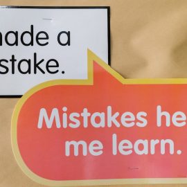 Learn by Making Mistakes: Incremental Progress With Trial & Error