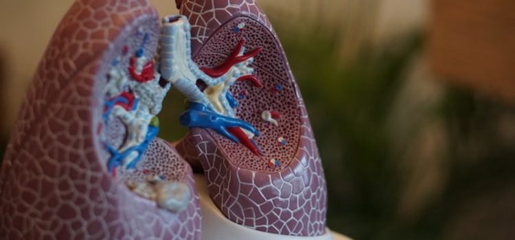 How to Strengthen Your Lungs and Increase Their Capacity
