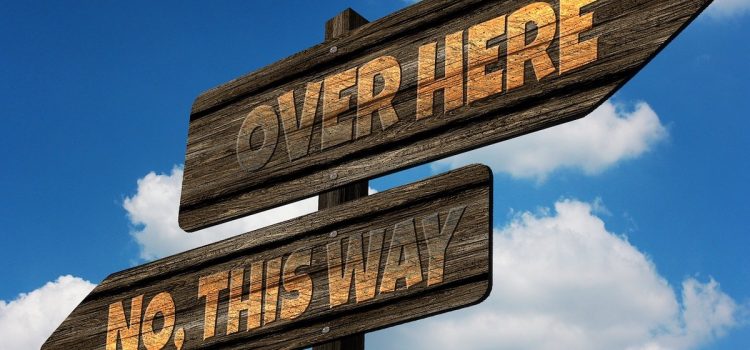 Emotional Decision-Making: Why It’s a Risky Undertaking Emotional Decision-Making: Why It’s a Risky Undertaking