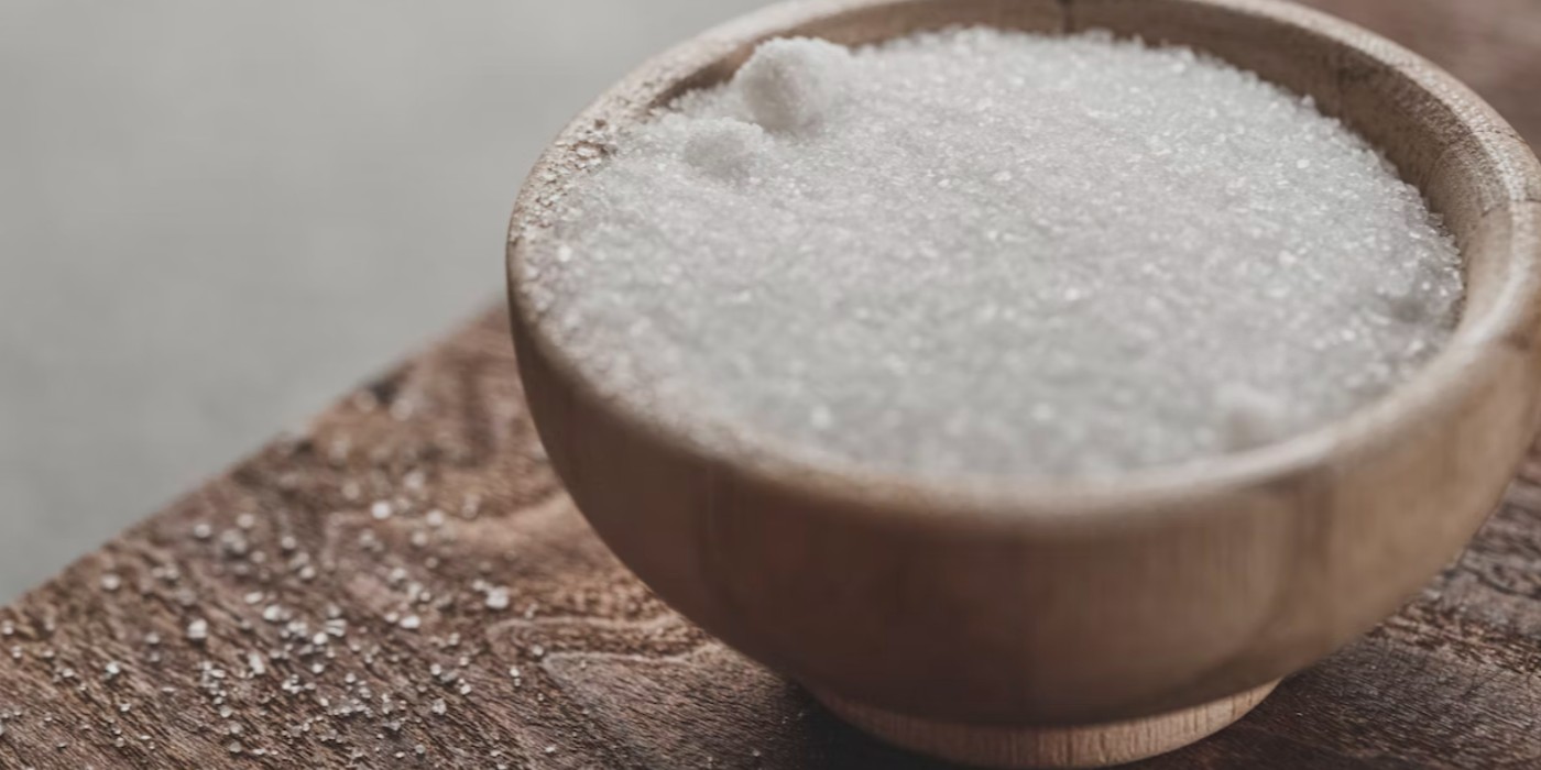Why Do We Need Salt? Salt's Role in Innovation, Explained Shortform Books
