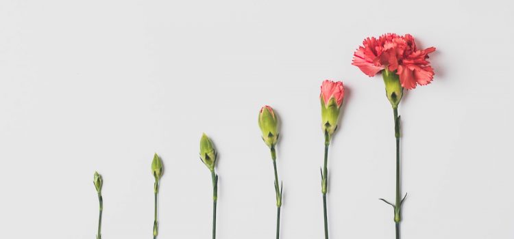How to Reach Your Full Potential: Tips From Robin Sharma How to Reach Your Full Potential: Tips From Robin Sharma
