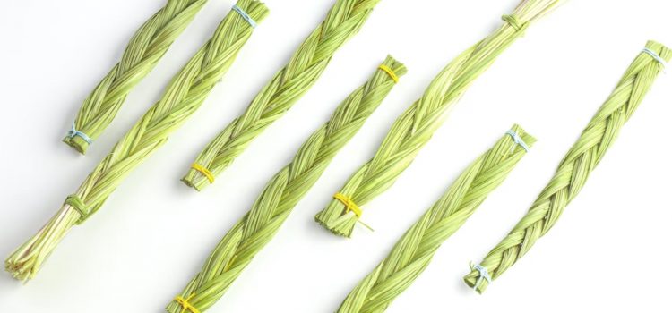 Sweetgrass Teachings From the Book Braiding Sweetgrass