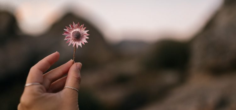 3 Characteristics of Attention (From Daniel Goleman’s Focus)