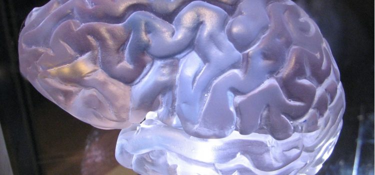 Brain Coupling: The Key to Efficient Teamwork Brain Coupling: The Key to Efficient Teamwork