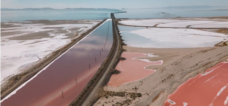 Why Is the Great Salt Lake Drying Up & What Can We Do?
