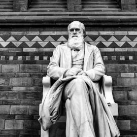 What Is Darwinian Evolution? (On the Origin of Species)