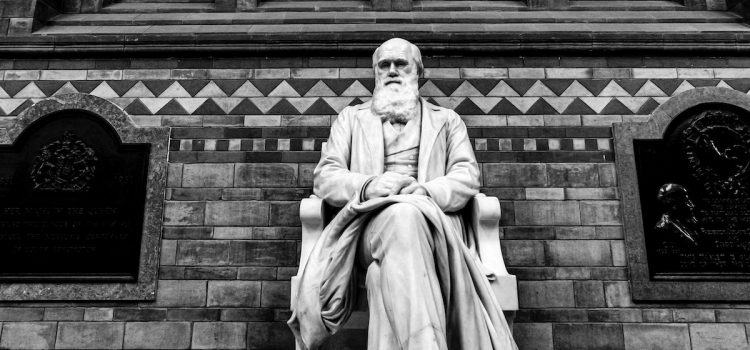 What Is Darwinian Evolution? (On the Origin of Species)