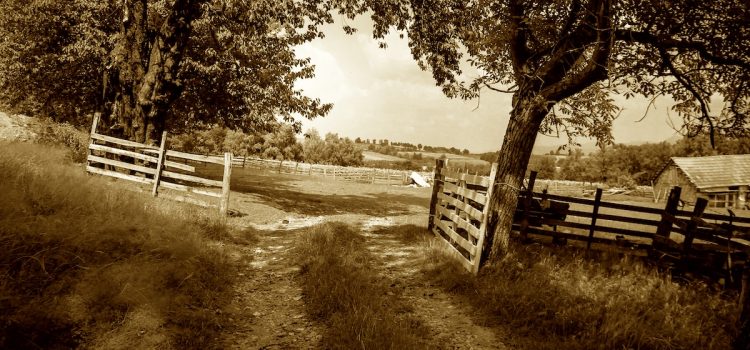 Jimmy Carter’s Early Life: Humble Beginnings in Plains, GA Jimmy Carter’s Early Life: Humble Beginnings in Plains, GA