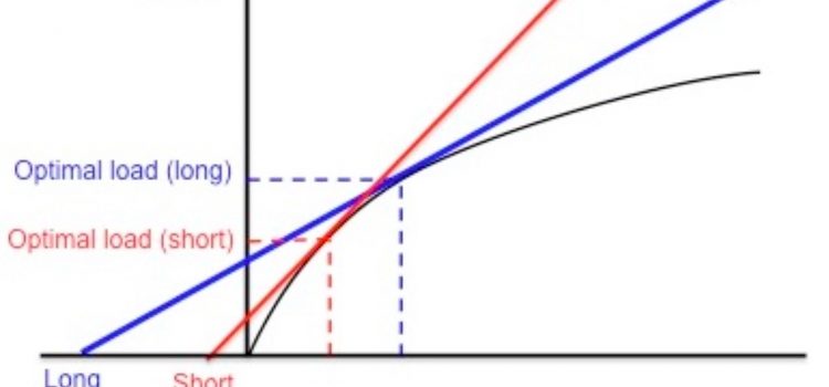 The Marginal Value Theorem In Relation to Humans