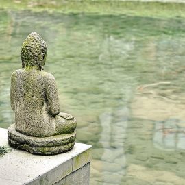 The Origins of Zen Buddhism: Indian & Chinese Traditions Meet