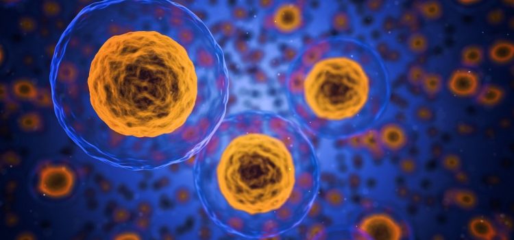 The First Cells on Earth: A Biochemist Goes Back in Time The First Cells on Earth: A Biochemist Goes Back in Time