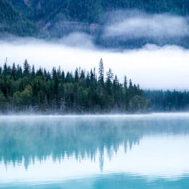 foggy lake and forest