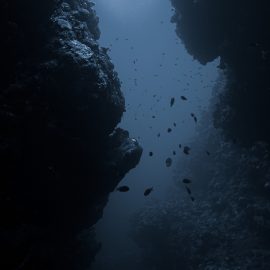 Where Did Life Originate on Earth? A Trip to the Bottom of the Sea