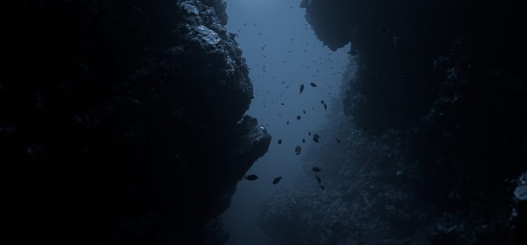 Where Did Life Originate on Earth? A Trip to the Bottom of the Sea