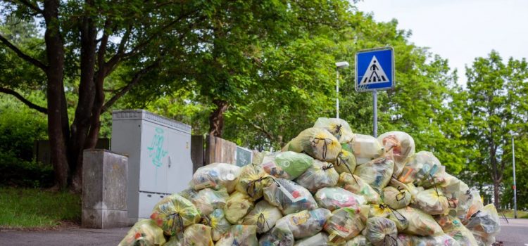 How Food Waste in Supermarkets Is Getting Out of Hand