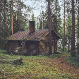 A cabin in the middle of the woods sitting in front of a lake.