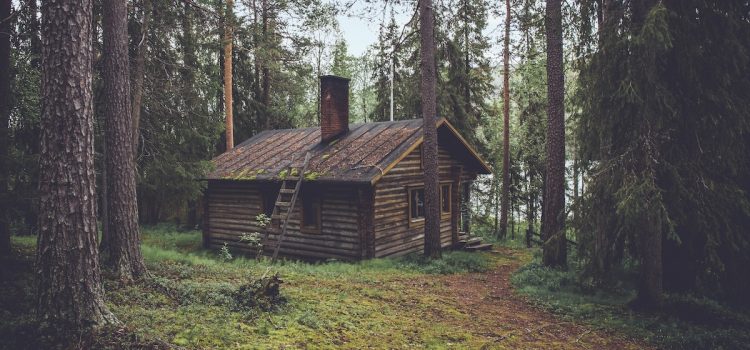 A cabin in the middle of the woods sitting in front of a lake.