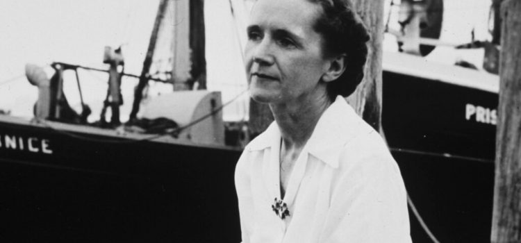 Rachel Carson: Pesticides Do More Harm Than Good