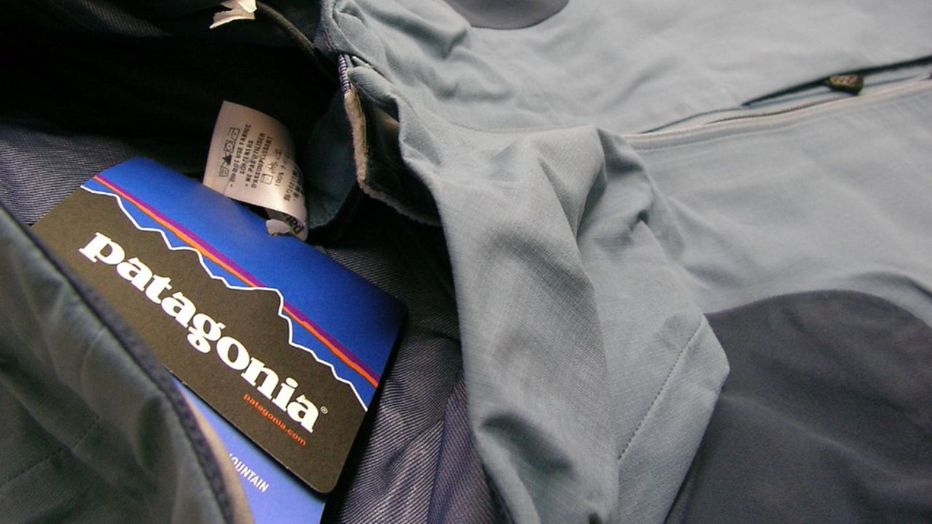 History of Patagonia Clothing: Earliest Challenges & Crises | Shortform ...