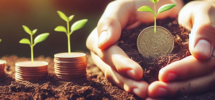 Coins being planted in soil with plants growing from them, visual for ways to invest tax refund money