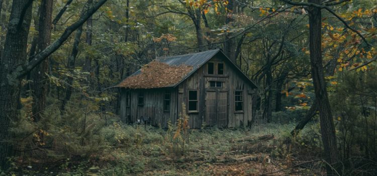 Papa, Jesus, & Sarayu in The Shack: A New View of the Trinity a shack in the woods illustrates the place Mack met Papa, Jesus, and Sarayu
