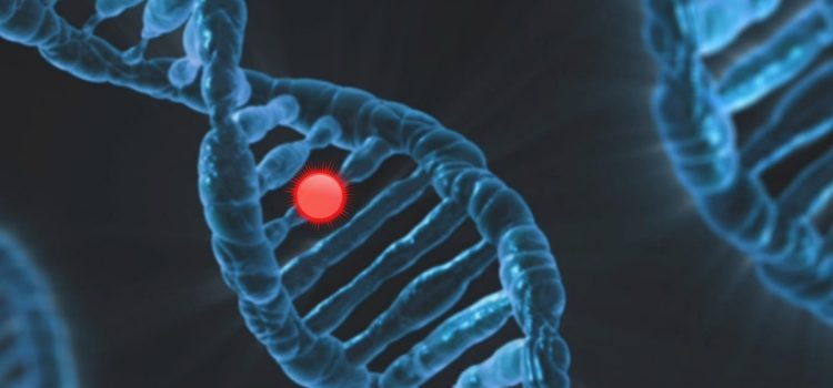 What Is Random Mutation? Daniel Dennett Explains A DNA molecule with a red spot illustrates the question, "What is random mutation?"