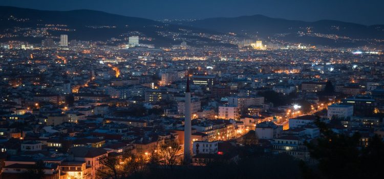 Sensory Pollution Is Fatal to Animals—But We Can Change That A brightly-lighted city at night, seen from above, illustrates sensory pollution