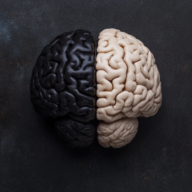 A dark and light sides of the brain representing unconscious and conscious behaviors