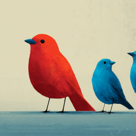 A red bird standing out from two blue birds