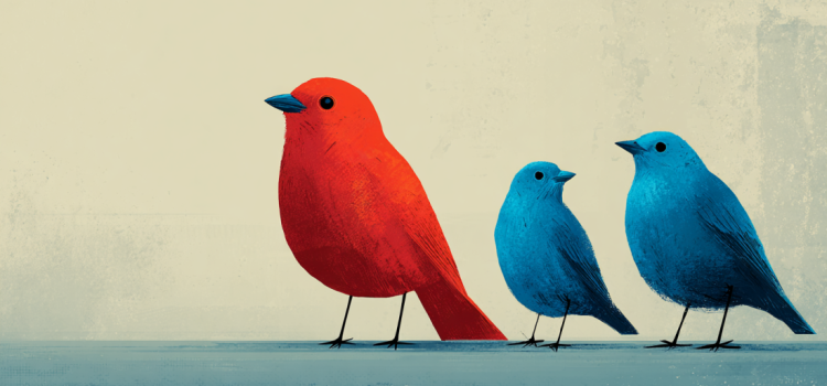 The Gift of Not Belonging: Book Overview (Rami Kaminski) A red bird standing out from two blue birds