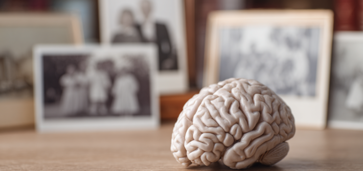 A brain on a table in front of picture frames to represent how memories are formed