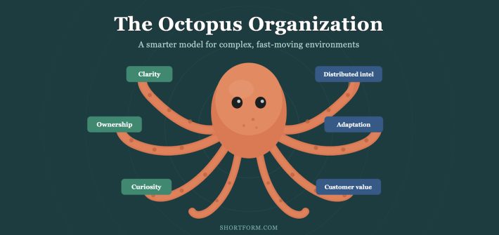A drawing of an octopus highlighting clarity, ownership, and curiosity illustrates what an Octopus Organization is